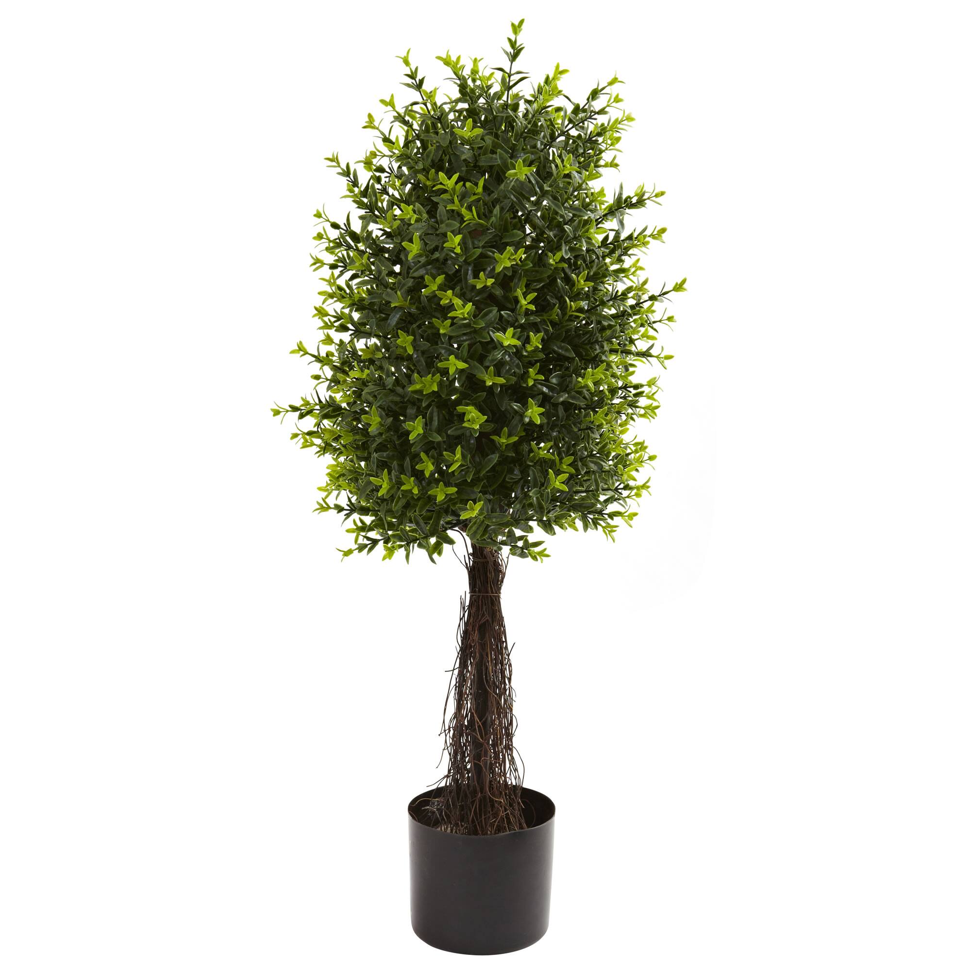 3ft. Potted Ixora Topiary